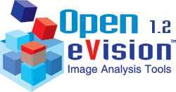 Open eVision Logo